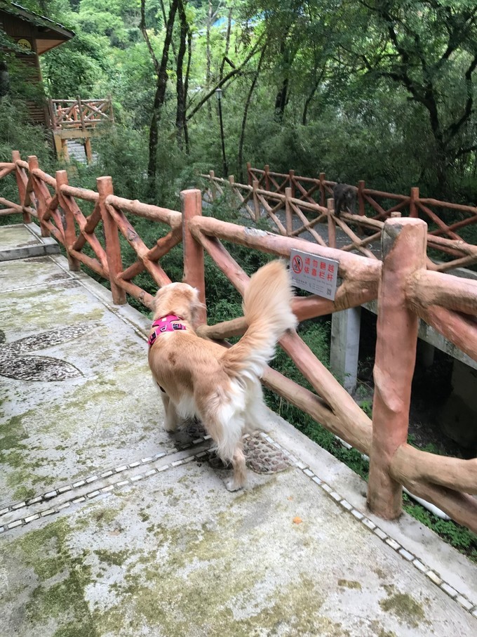 成都喇叭河自驾,自贡到喇叭河自驾