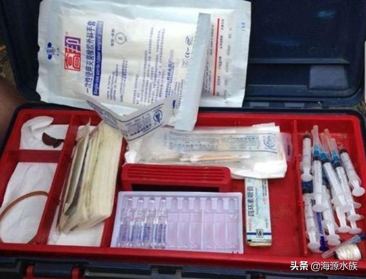 锦鲤出现问题了怎么办,锦鲤有哪些异常状态