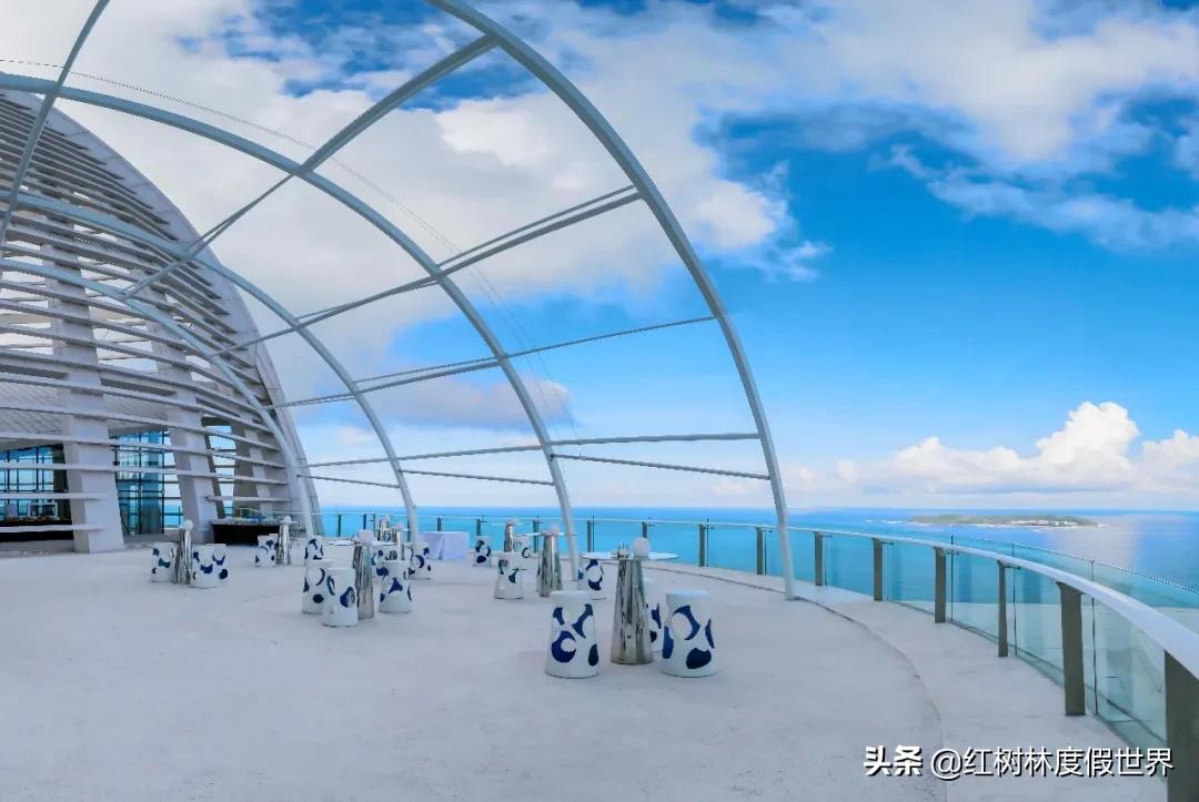 逃离北方的寒冷,逃离北方森林