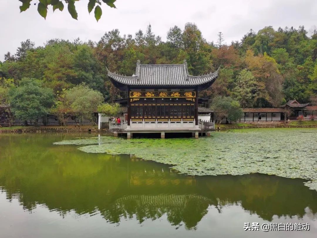 景德镇为什么能成为御窑,瓷都景德镇瓷器