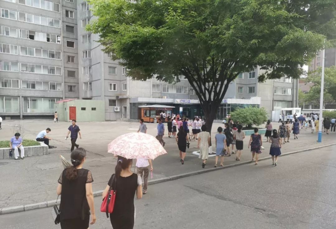 我在朝鲜工作的日子01,我在朝鲜工作的日子35