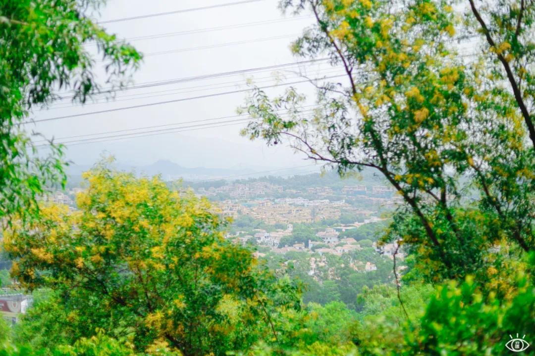 深圳宝藏公园风景图片,深圳宝藏自然游乐区