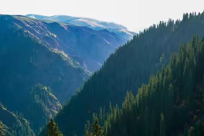 天津到独库公路自驾游攻略,最新新疆自驾游七日独库公路攻略