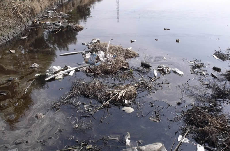 农村井水含致癌物怎么检测,农村井水检测水质真的假的