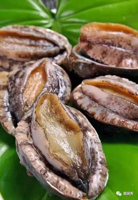 三亚游玩可以带什么特产回去,三亚特产大全图片