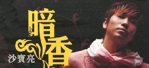 沙宝亮变沧桑了他经历了什么,沙宝亮是哪一年的