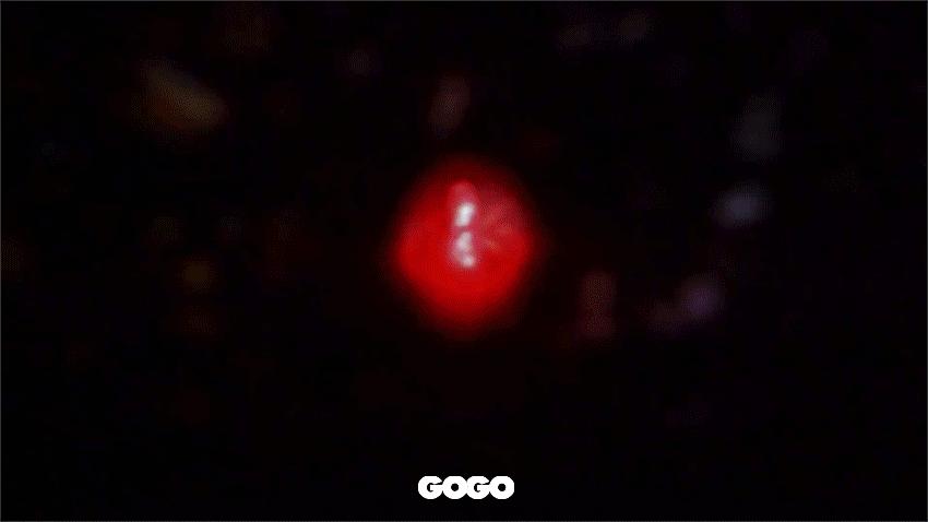 出席cindychao艺术珠宝大师展,cindychao艺术珠宝鉴赏