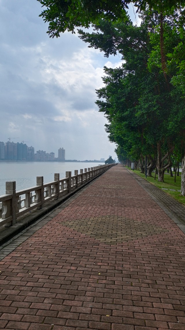 珠海井岸黄楊河湿地公园,20200927