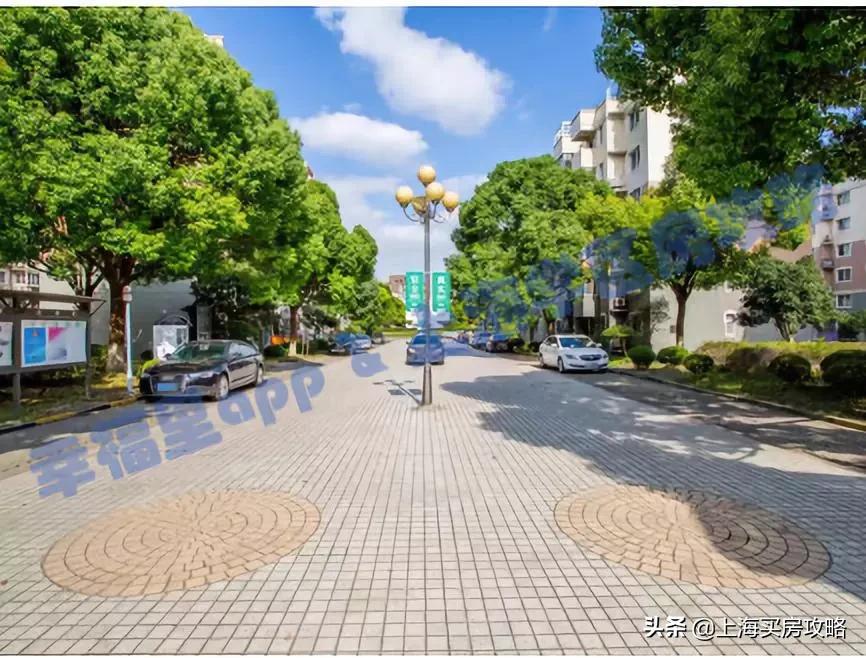 浦东第一公办牛校,上海市浦东新区第一小学