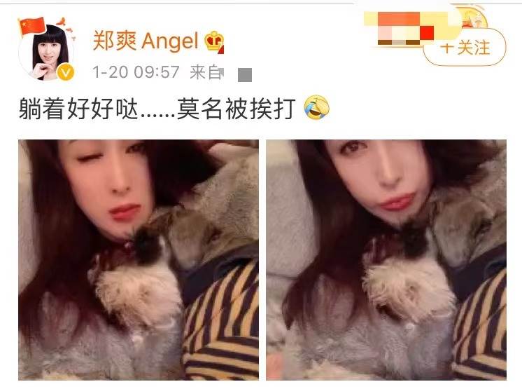 代孕女星事件最新,代孕女星被害事件