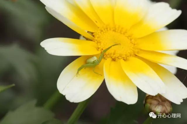 常见的有规律的事物,一些规律完整版