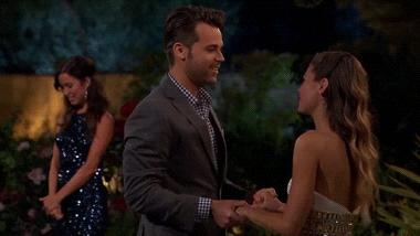 国际狗粮,世界狗粮日