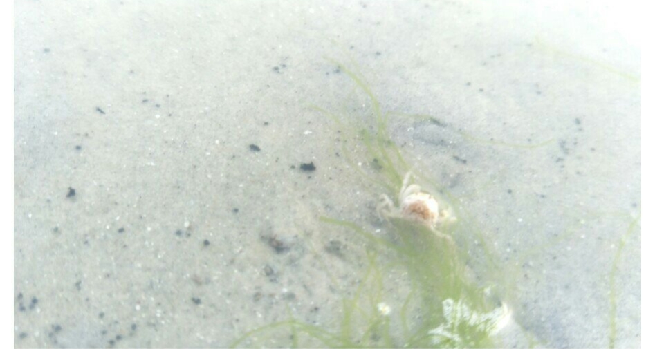 广西北海适合几月份去,厦门和北海哪个更值得去