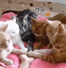 防寒保暖寒冬必备神器,抗寒神器零下40度