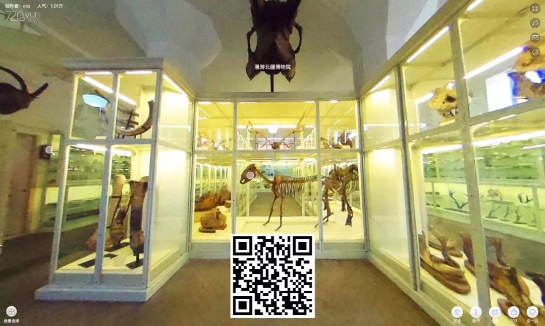 全国博物馆展览时间表,全国博物馆精品展览会