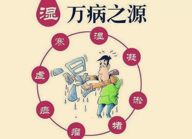 中医体湿是啥意思,中医学中说体内有湿是讲什么
