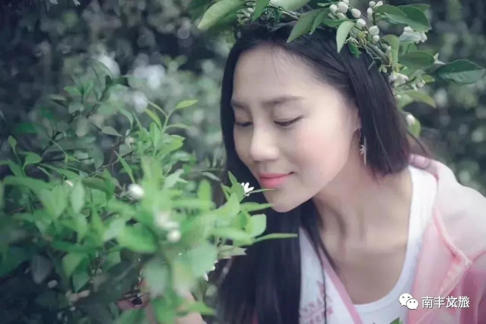 南丰蜜桔花期是什么时候,2022年南丰蜜桔开始订购了吗