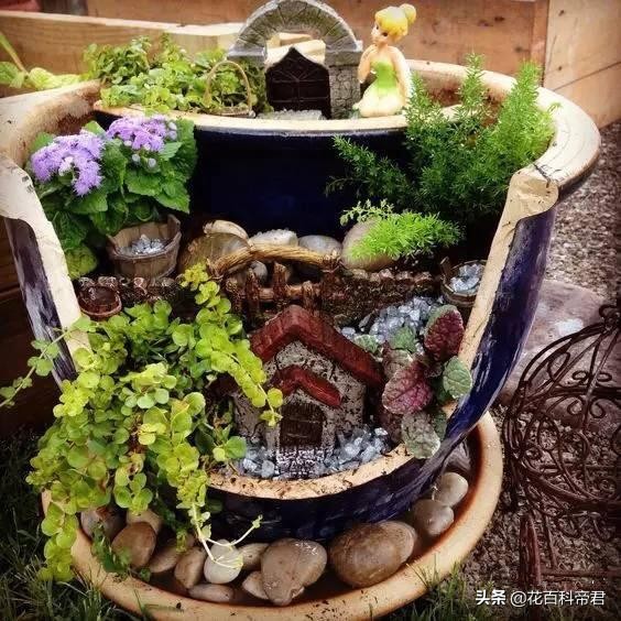 不小心打破花盆,已经种植的花盆怎么打孔