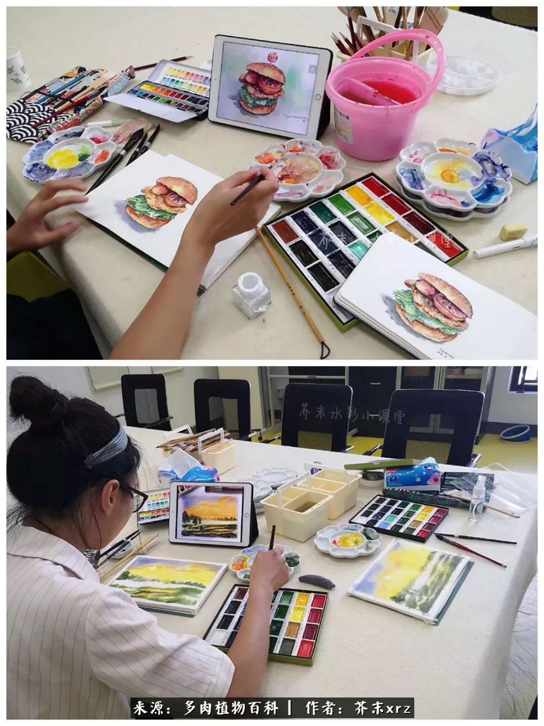 那个爱画多肉的小姑娘带着她的心头肉又来啦！