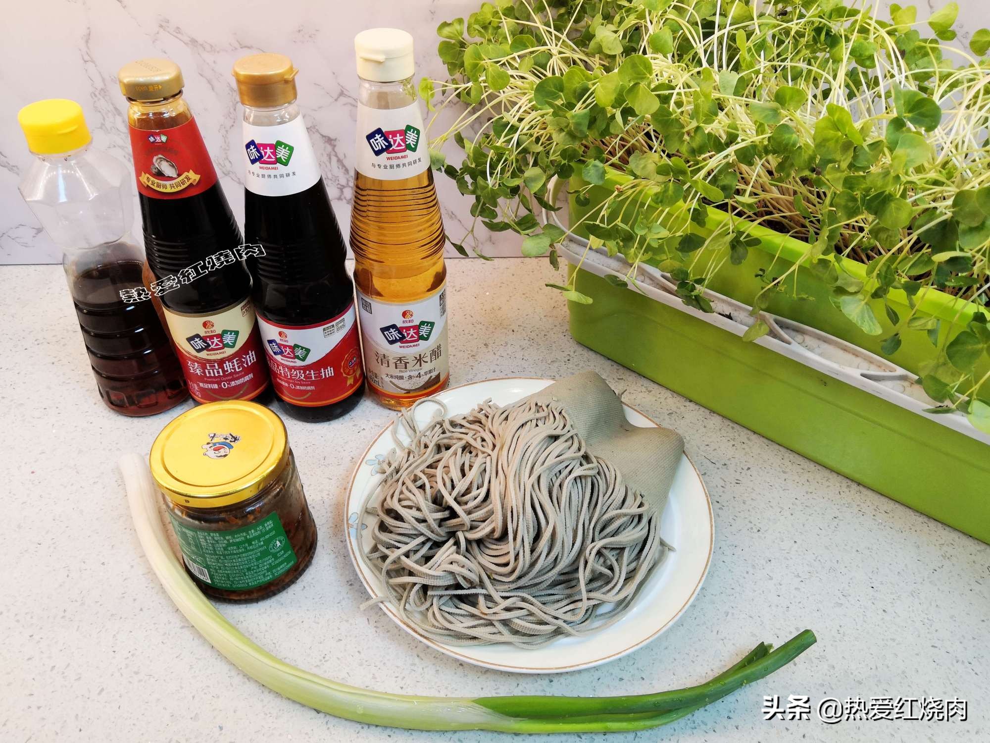 冬季如何撒种子种菜,冬季小花盆里可以种的菜