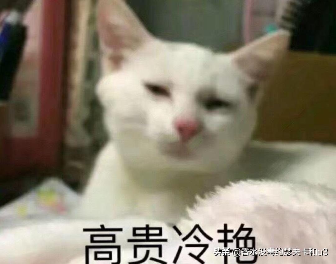 娇兰香精为什么那么贵,娇兰香精跟香水的区别