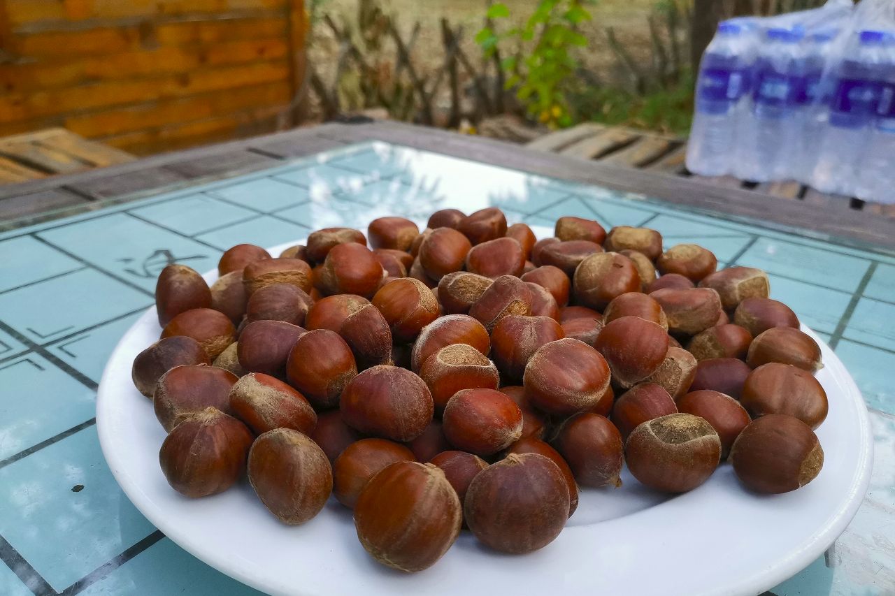 京东90分抵达田园度假区，住树屋，泡半山温泉，还有房车营地