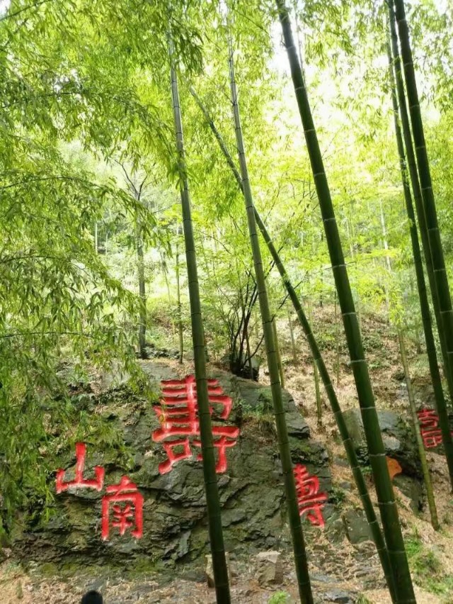 南山竹海和宜兴竹海哪个值得去,国家4a级景区多少个