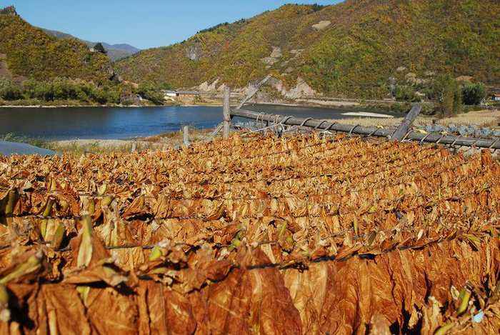 你不了解的敌敌畏,你不了解的煤层气