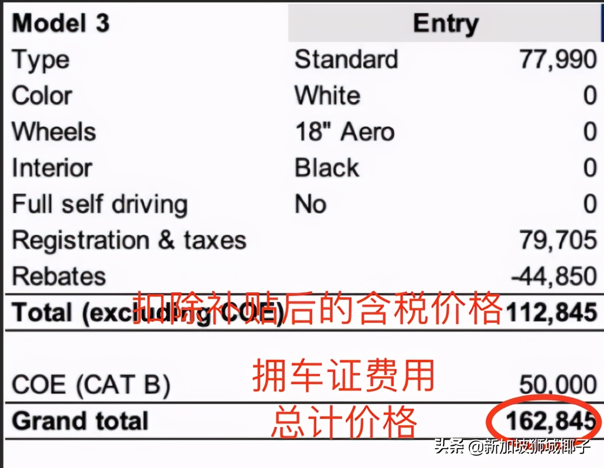 全世界最贵的特斯拉，花了100万！深扒为什么新加坡买车这么贵
