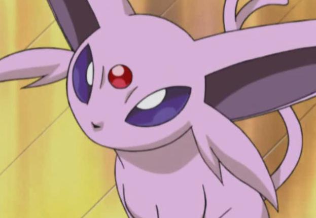 宝可梦18种属性的伊布,精灵宝可梦太阳伊布图片