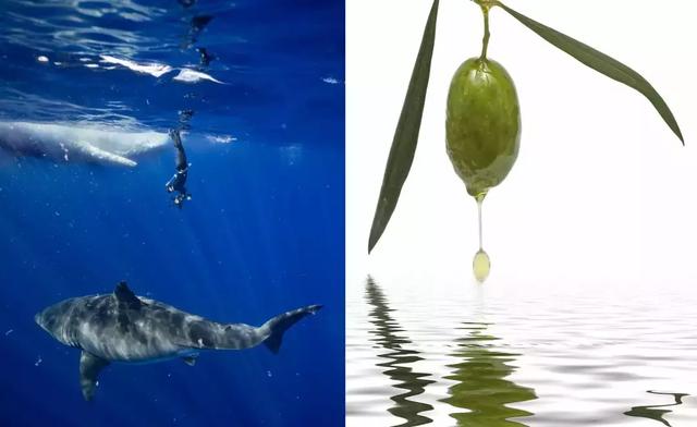 硬刚女皇龙妈也扛不住法令纹，2条沟壑让人心疼，贴一贴就消了