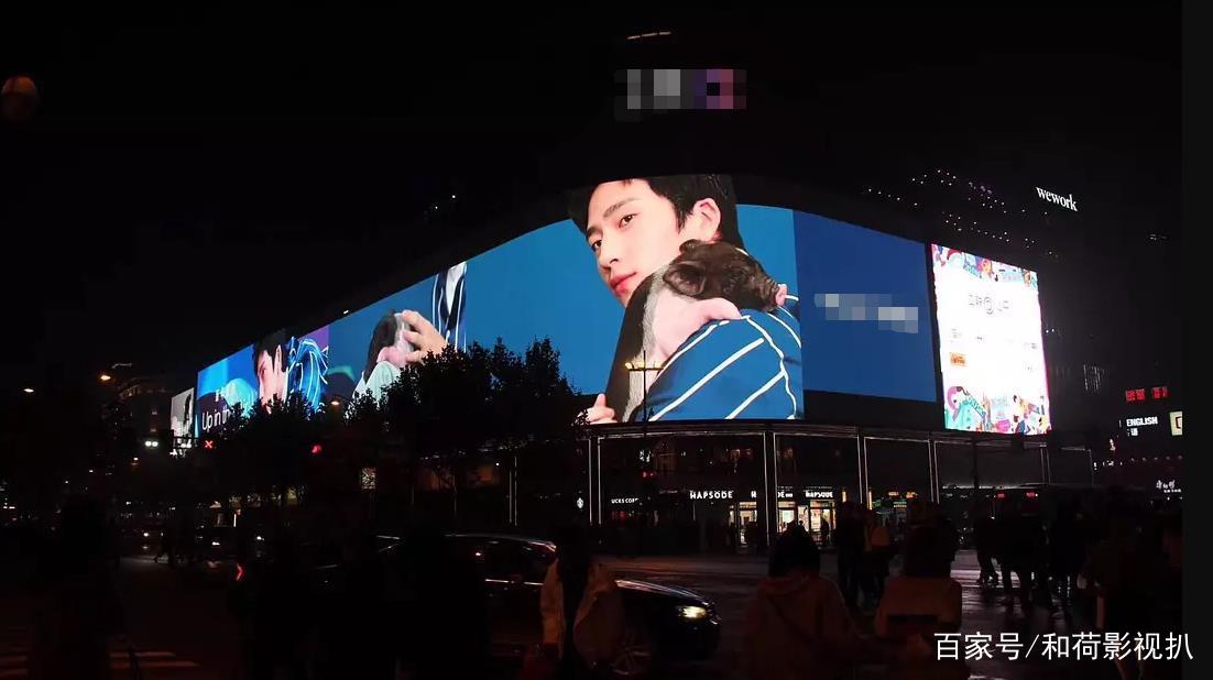 井柏然与他的小猪,井柏然的小猪视频