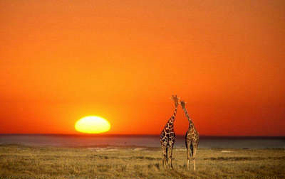 夕阳洒在平原上,夕阳洒在淡水河上