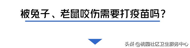 如被猫狗咬伤或抓伤应如何处理,被猫狗咬伤在多少小时之内打疫苗