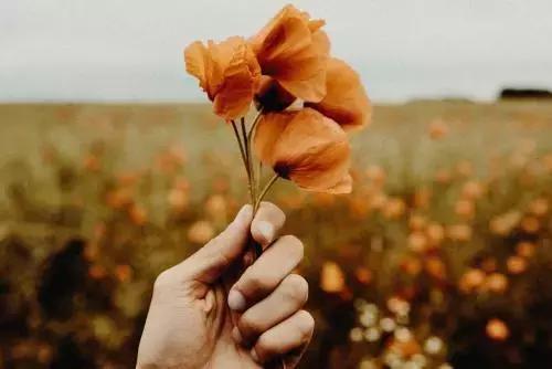 负心人跟人跑了你怎么才能“弄死”他（她）