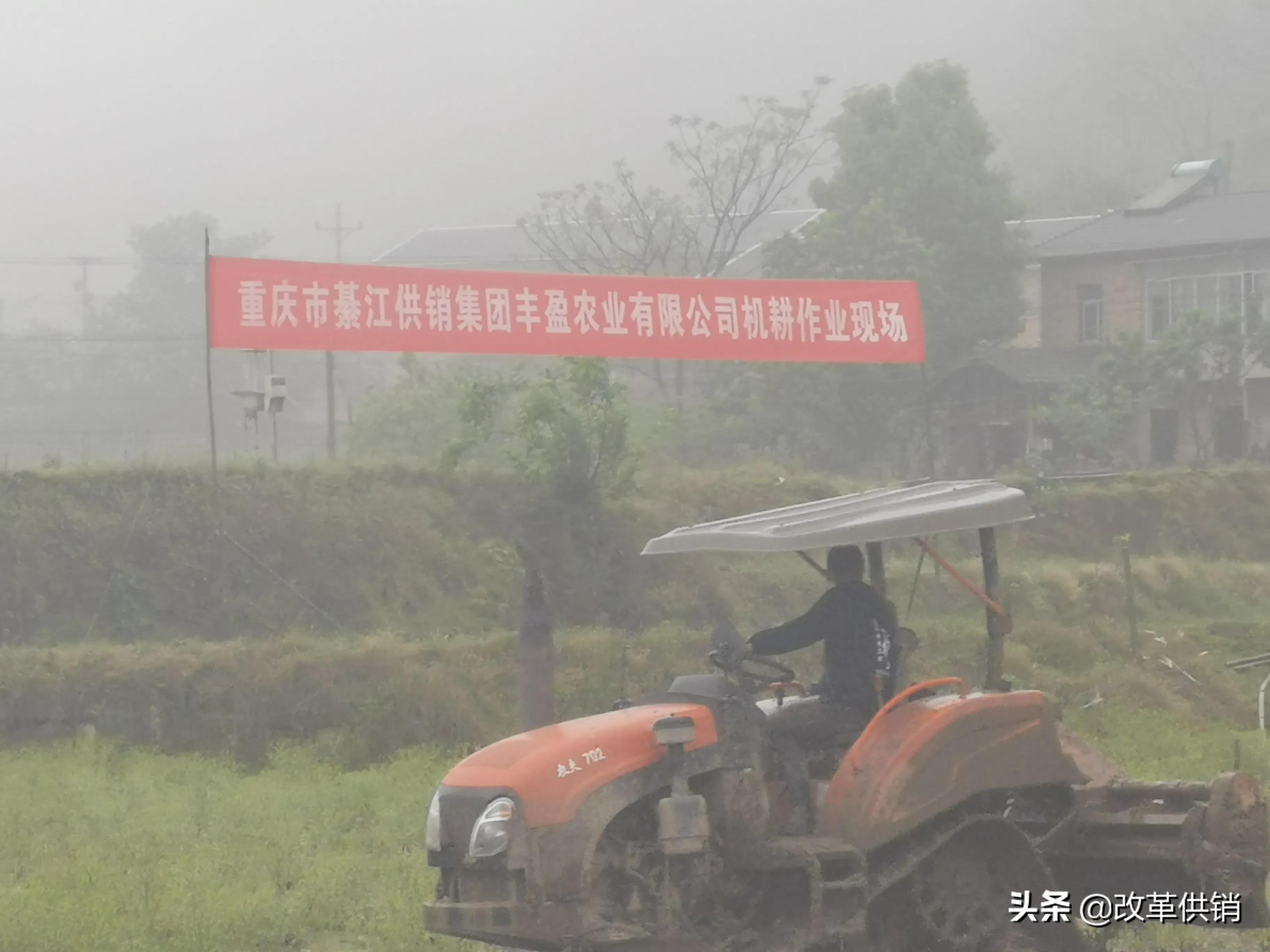 供销合作社重点任务,供销社三个一体模式