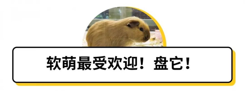 不去后悔去了更加后悔的景点,不去后悔去的景点