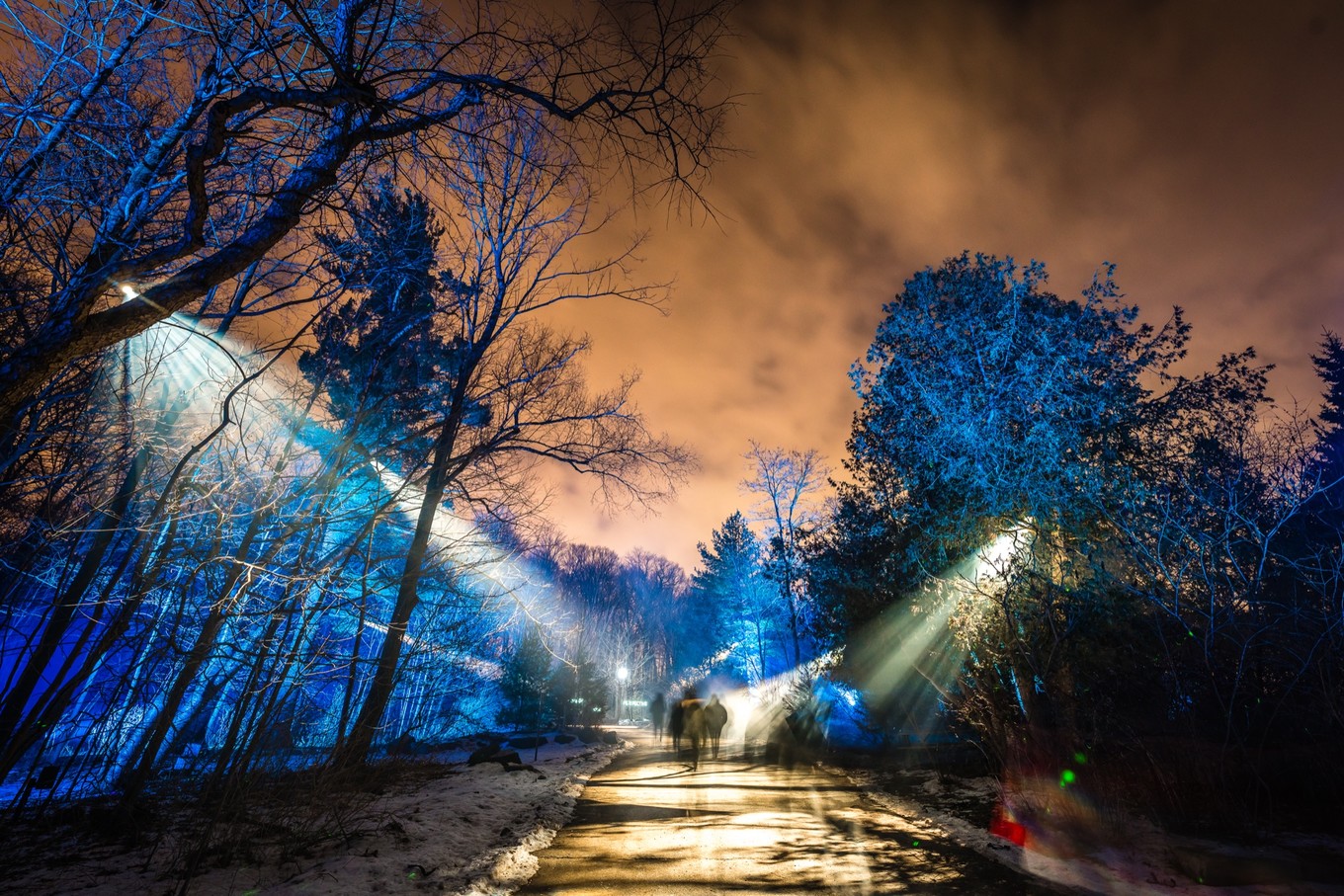 冬天多伦多旅游攻略,多伦多冬季旅游