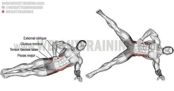 胸肩背臂腿腹训练动作,腰臀肌肉训练方法
