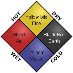 水蛭吸血可治病?结果几百年前的西方人因此导致梅毒的交叉感染