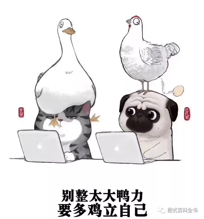 开展mrcp技术,mrcp检查操作流程