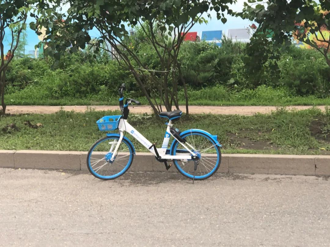 哈尔滨取缔违停车辆,哈尔滨违停车整治