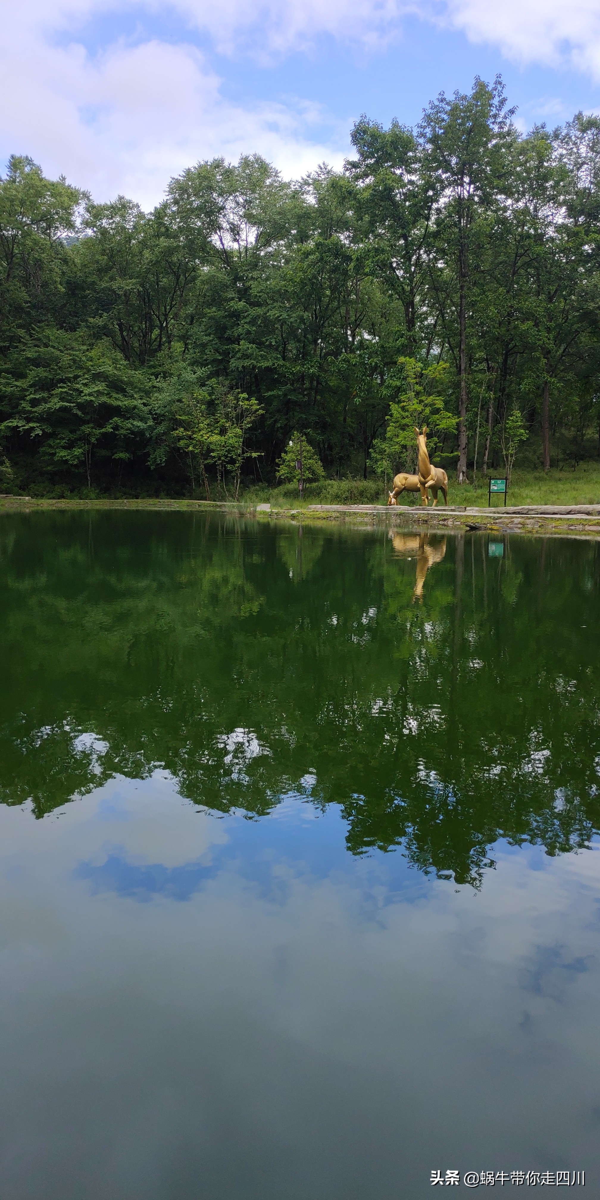 带小朋友出去看小动物,带小孩去海洋动物园