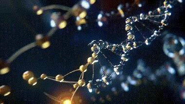 节能油什么意思,机油的节能作用