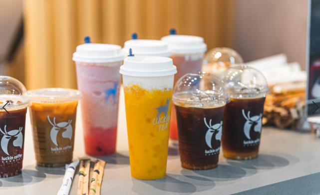 广东岭南职业技术学院2024分数,广东岭南职业技术学院志愿填报