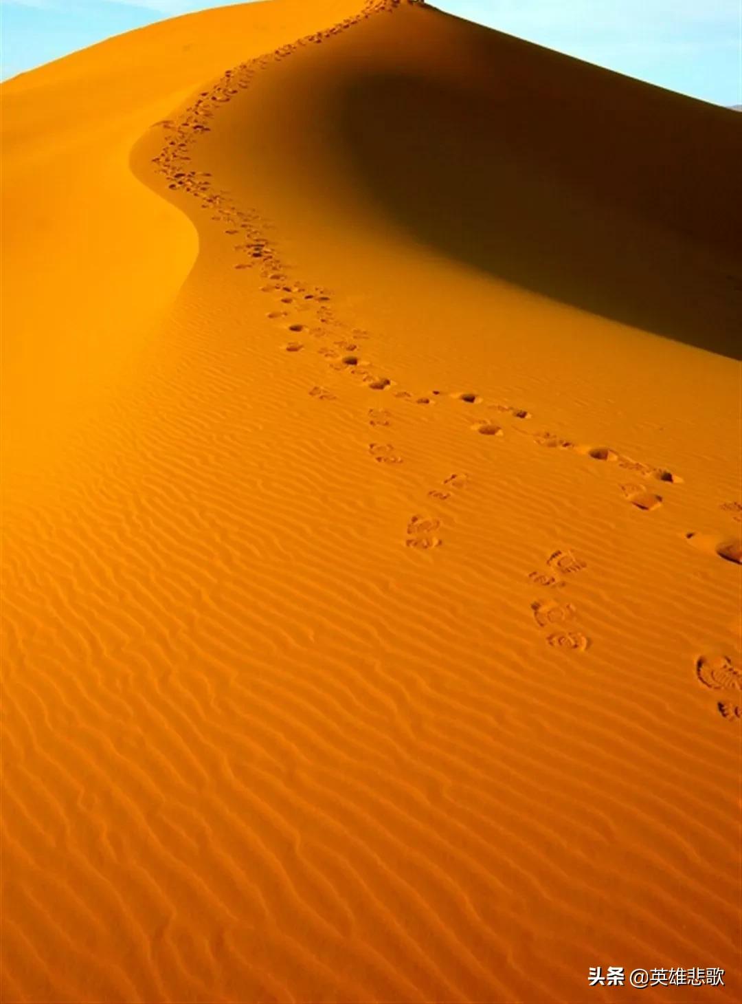 黄沙为何暴涨,黄沙价格最新市场价