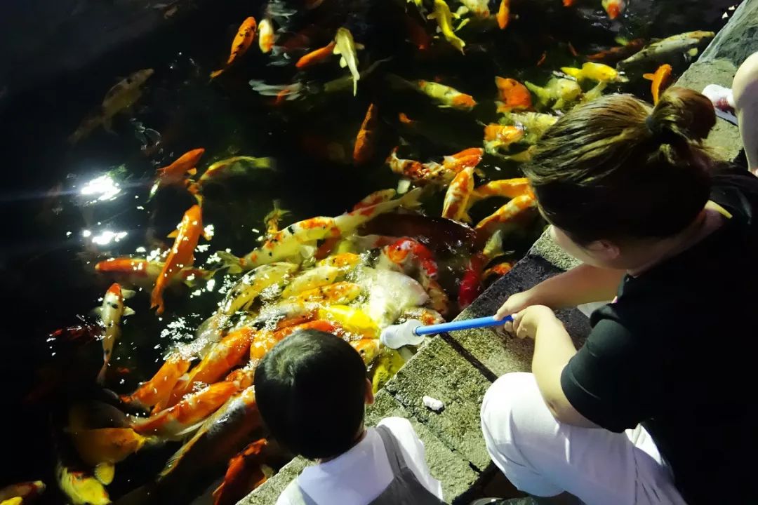 无锡崇安寺记忆 (无锡人心中的崇安寺)