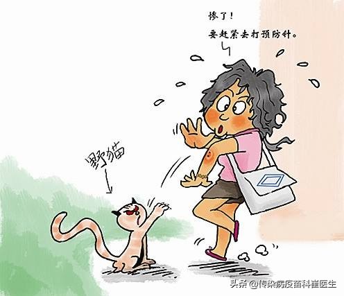 被猫咬伤了轻微出血会有事吗,猫没有狂犬病抓出血了会传染吗