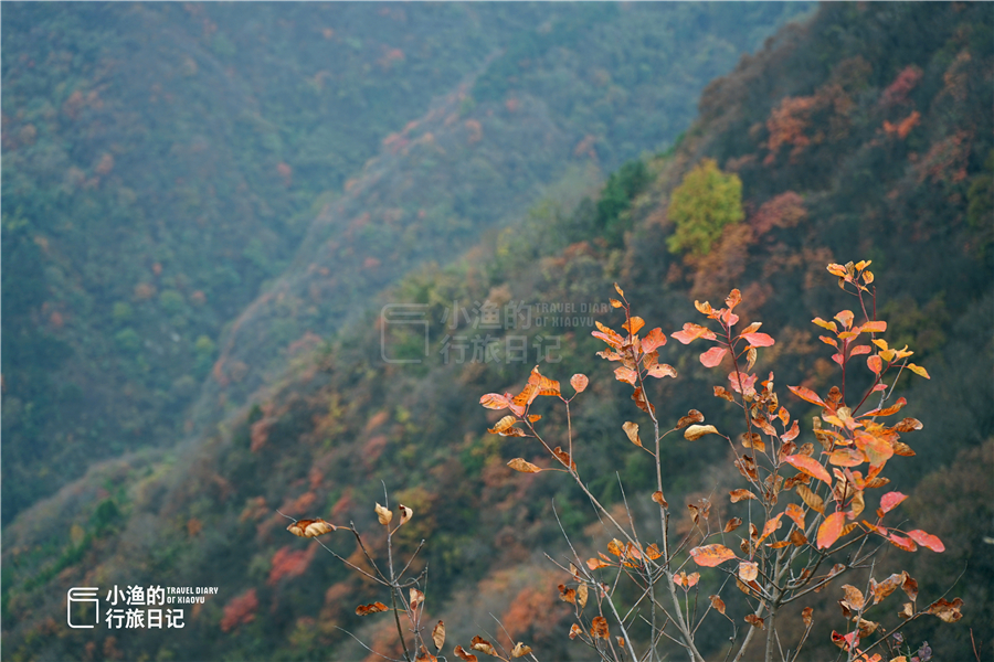 最美的风景在路上西安秦岭山脉,藏在西安秦岭的小众秘境