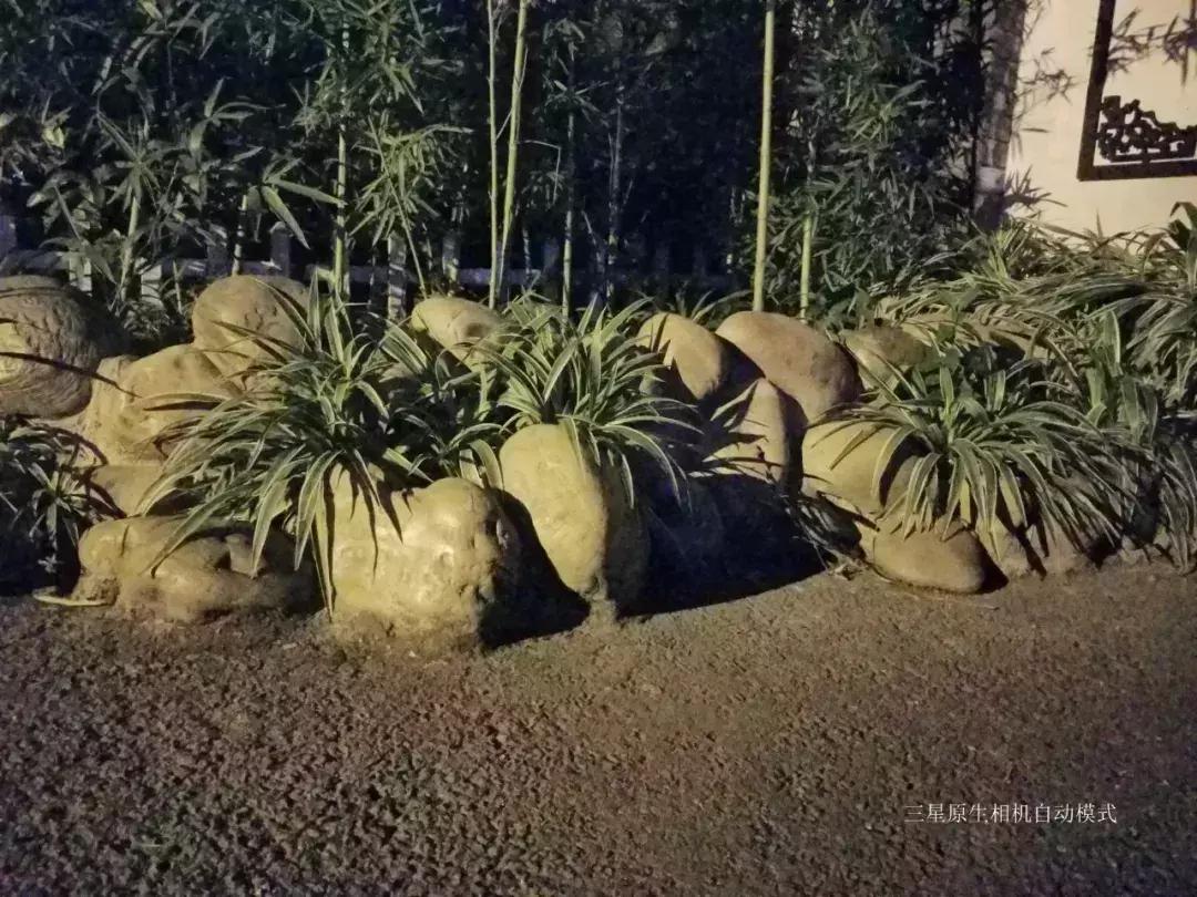 千元机变万元机,千元机拍照堪比苹果